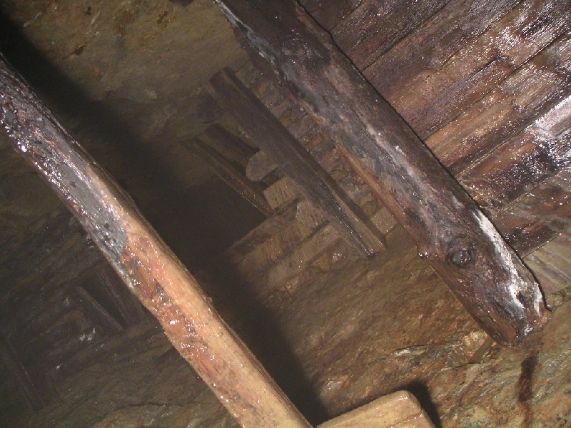 14_upthridshaft1.jpg - Thriddle Shaft View Point, looking up the shaft. Timbers galore.