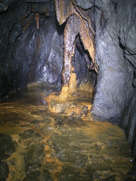 36_taylorsforehead1.jpg - Forehead of Taylor's Level, oranged stained calcite formations. I took two photographs of this of this one with LED lighting (this one) and the other with halogen. I prefer the other.