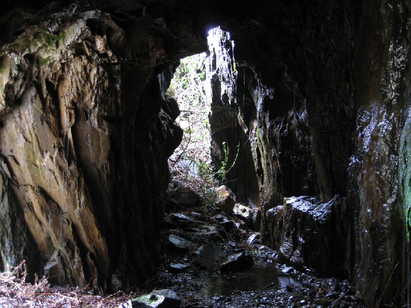 ccm_airventstopetodaylight.jpg - Looking out towards daylight from the 'Air Vent' stope.