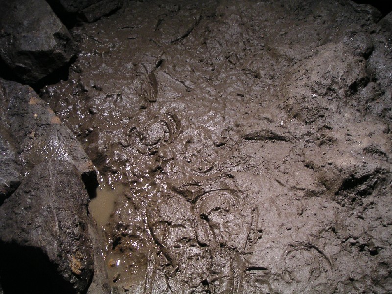 ul_dowgang_prints2.jpg - The prints in the passage can be clearly seen here, towards the top you can see a clog print and towards the bottom the heal prints.