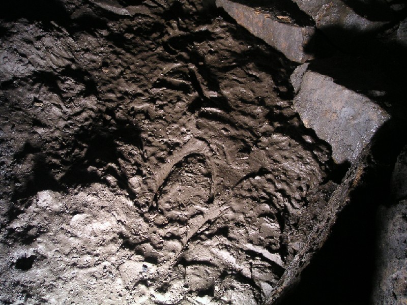 ul_dowgang_prints4.jpg - Another angle with different lighting, high-lighting the clog print.