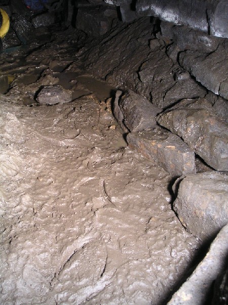 ul_dowgang_prints5.jpg - Another picture of the prints. Karlie built a little wall around them to mark them out.