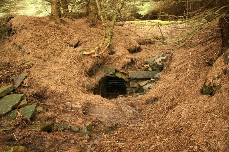 IMG_1516.jpg - North 4 Level, open and ready to go. This was taken in October 2008.