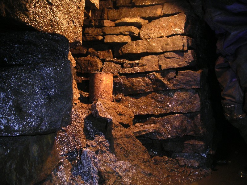 n4_wf_crownpaint_tin.jpg - Further along the left hand branch and we come across this tin. It is in fact, a Crown paints tin.