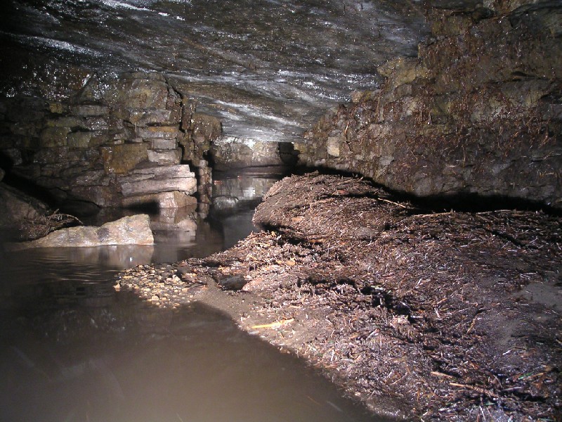 n4_xroads_right1.jpg - The right view at the cross roads, you guessed it, lots of silt but with deep water this time.