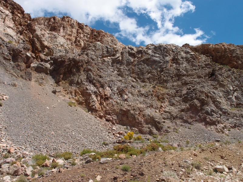 P6069545.JPG - Right below the bench.