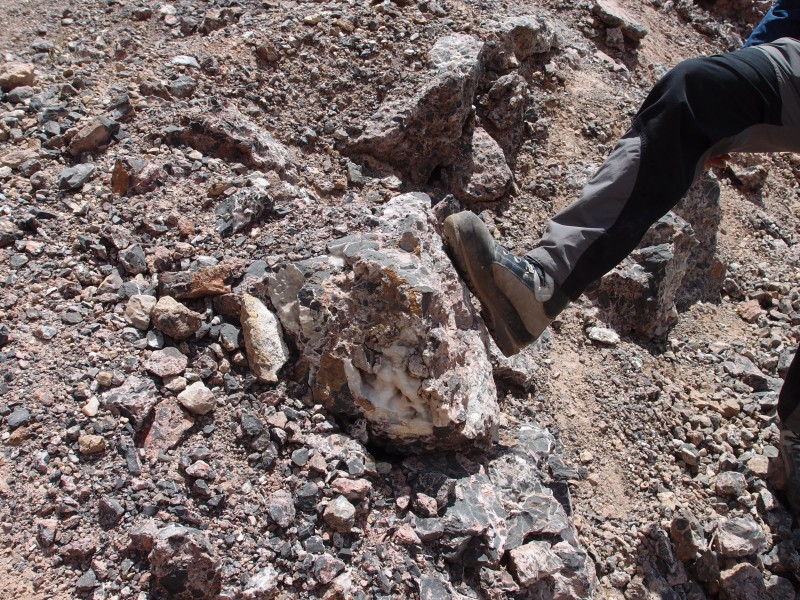 P6069553.JPG - Calcified rock with pockets.