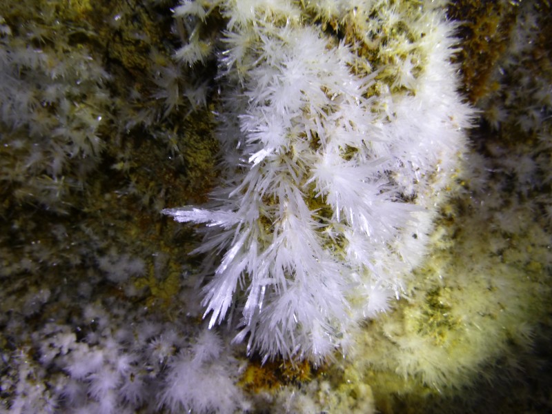 P1000315.JPG - Gypsum crystals. Photo by James.