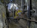 IMG_4537