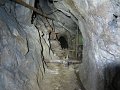 IMG_4538