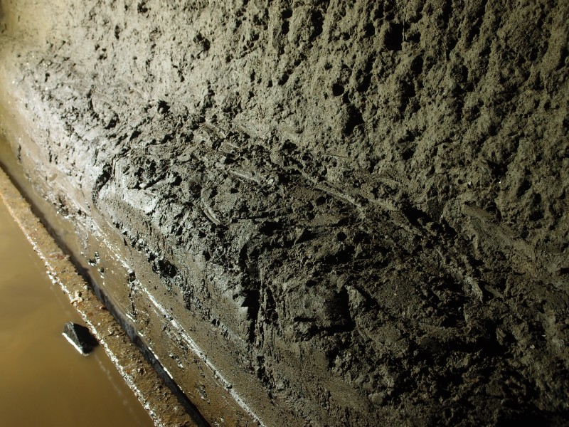 P3118467.JPG - Clog prints.