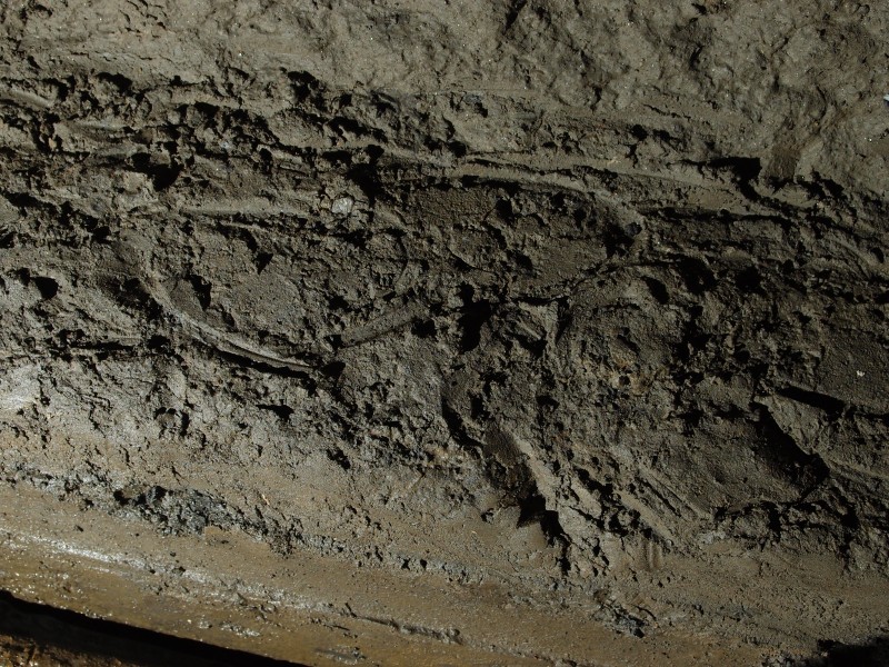 P3118471.JPG - Clog prints.