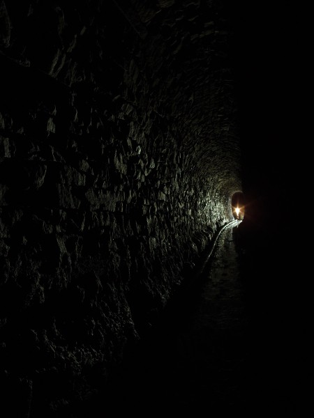 P3118479.JPG - Rails and arching.