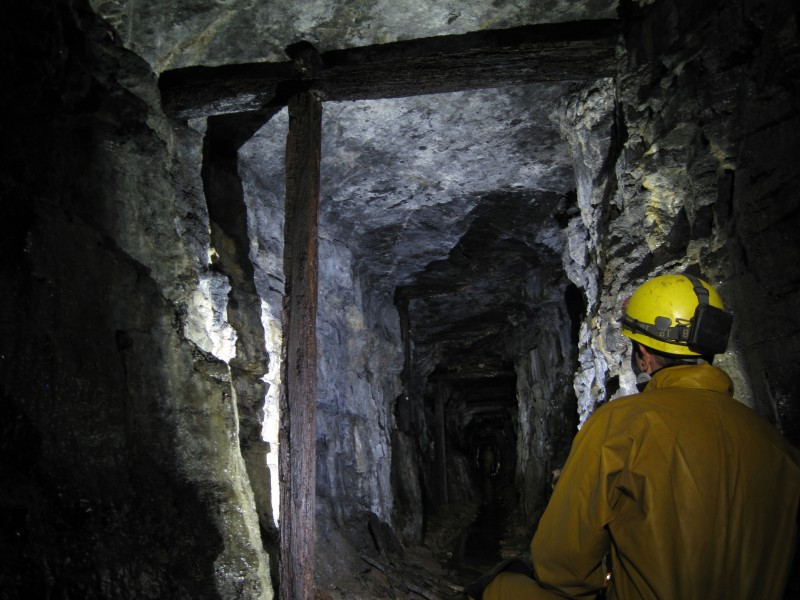 IMG_4444.JPG - Timber supports.