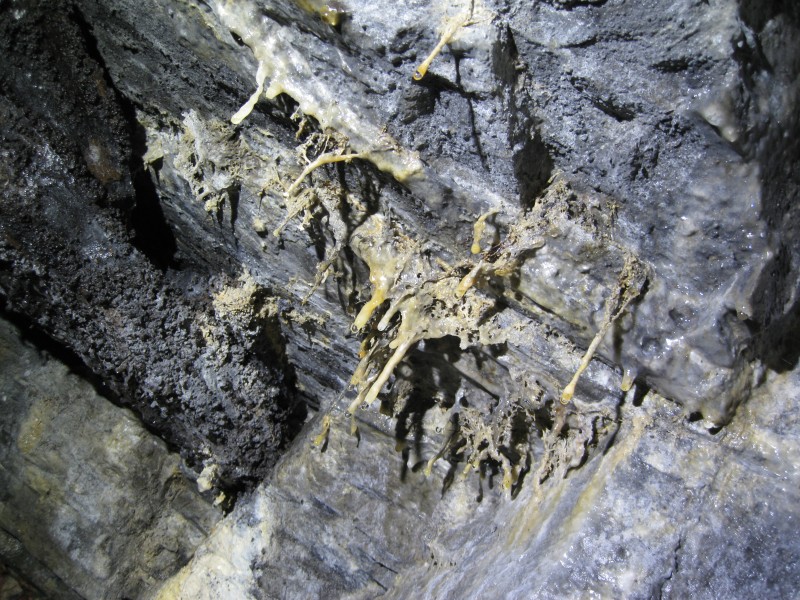 IMG_4446.JPG - A strange calcite growth, it looks like it has been crossed with some sort of fungus.