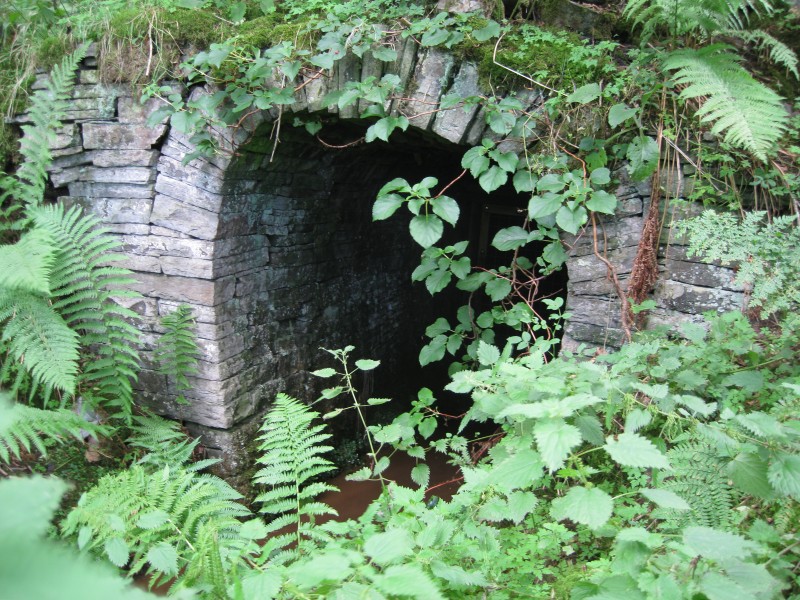 IMG_4454.JPG - The adit of Dents Low Level.