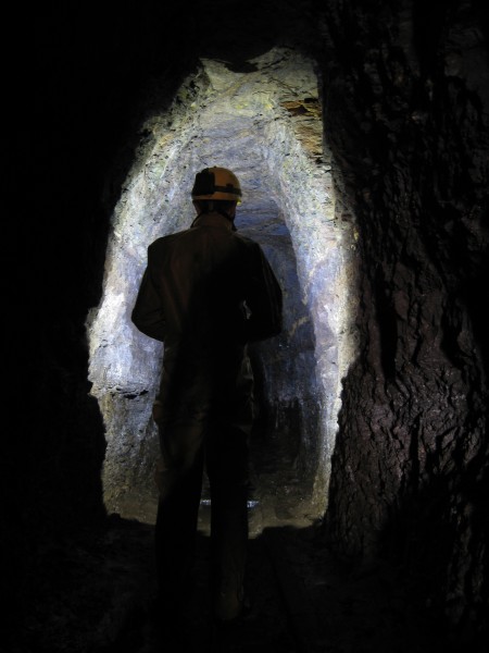 IMG_1411.jpg - Shape of the level, by back light.