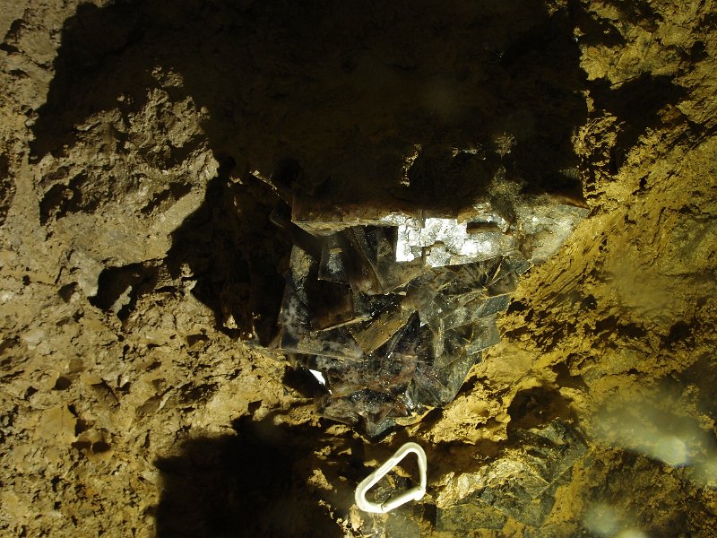 P8063950.JPG - And another....