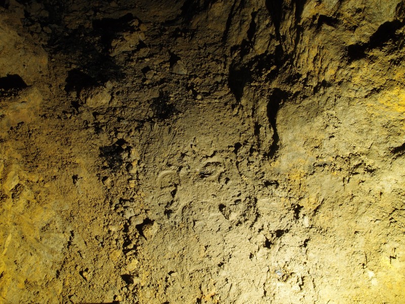 P1122317.JPG - Clog prints.