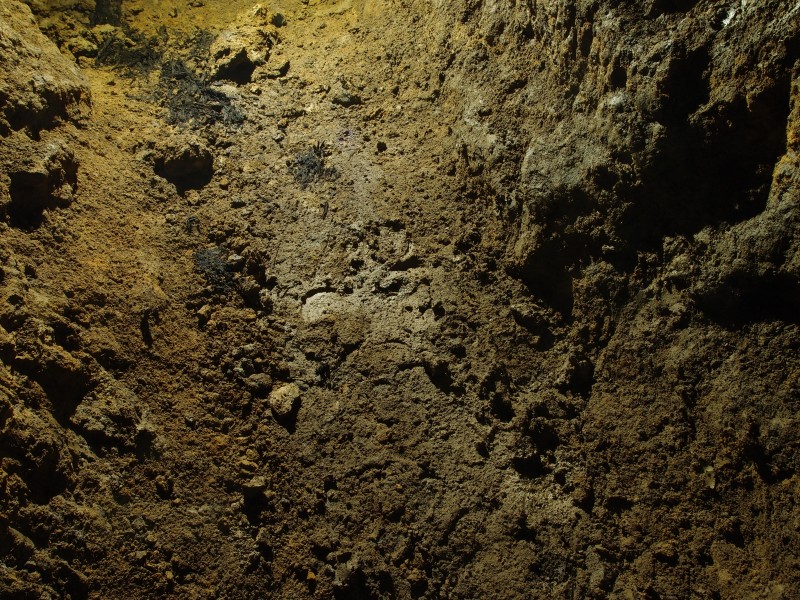 P1122318.JPG - Clog prints.