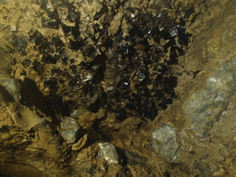 P1122333.JPG - Fluorite cubes surrounded by galena in the wall.