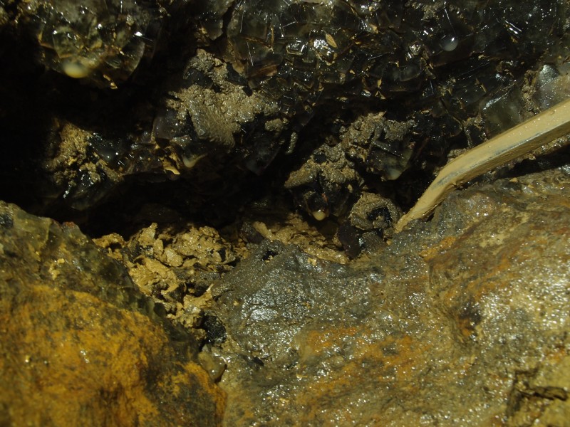 P1122364.JPG - Fluorite cubes in the cavity.