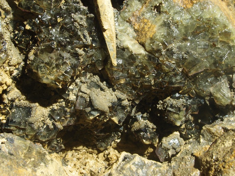 P1122369.JPG - Fluorite cubes in the cavity.