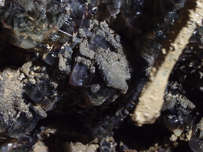 P1122386.JPG - Fluorite cubes in the cavity.