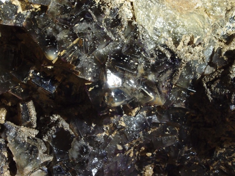 P1122393.JPG - Fluorite cubes in the cavity.