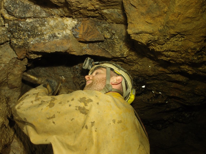 P1122420.JPG - What's this?