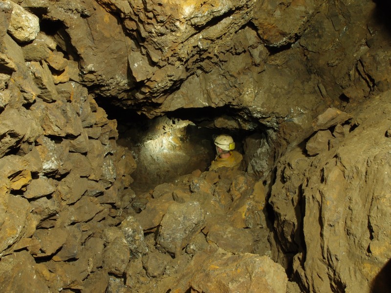 P7270421.JPG - Forehead in the north east branch of the flats.