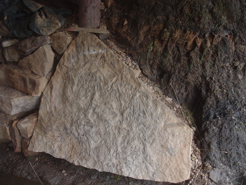 P7270445.JPG - Finally got a photograph of the fossilised rock slab outside the mine entrance.