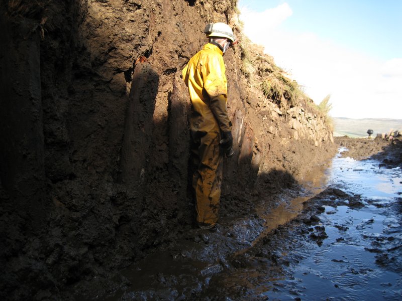 IMG_1447.jpg - Old timber uprights in the collapsed section of level.