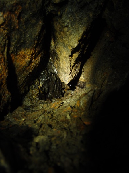 P2128206.JPG - Looking down the rat hole on the right hand side of the shaft. The dark triangular shaped rock is the first glimpse of the Little Limestone on the hanging wall.