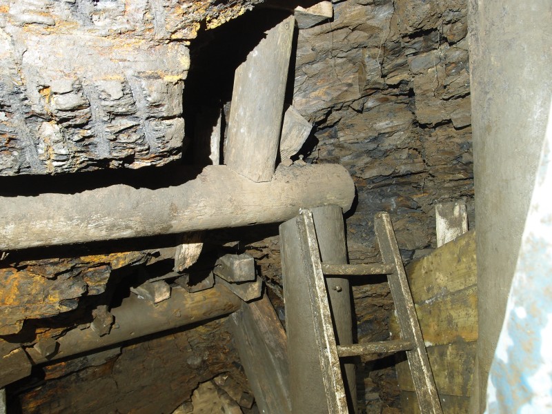 PA166806.JPG - Another section of timber supports.