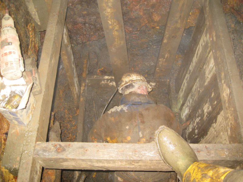 IMG_1808.jpg - Dog Pete digging away.