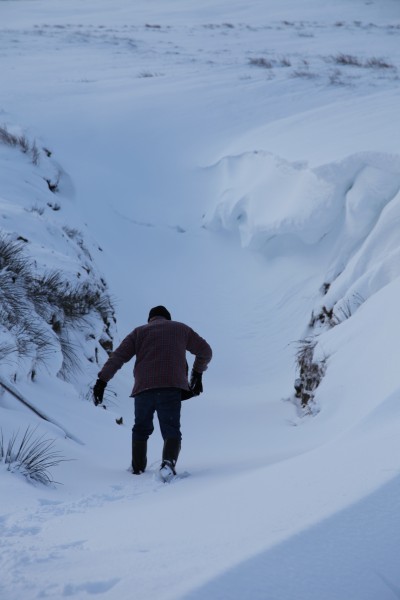 IMG_1887.JPG - Looking for the adit.