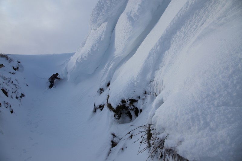 IMG_1894.JPG - Could this be it?