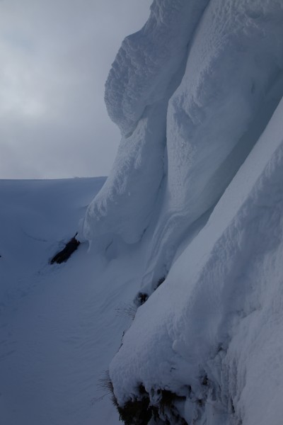 IMG_1895.JPG - Found it.