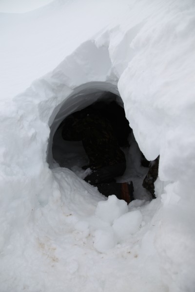 IMG_1941.JPG - Deeper digging.