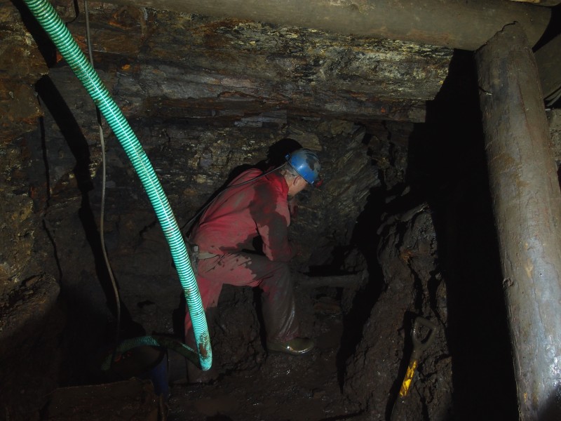 P7236065.jpg - The face so far.