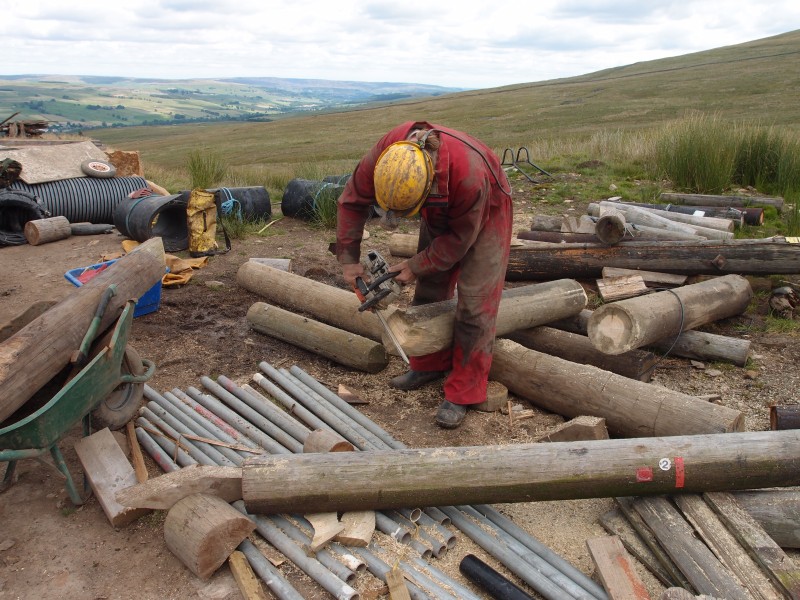 P7236128.JPG - Stemple cutting.