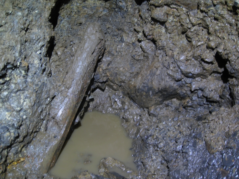 IMG_5916.JPG - Old timber piece at the face.