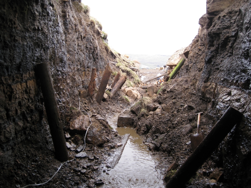 IMG_3182.jpg - Outside the level, winter damage on the sides.