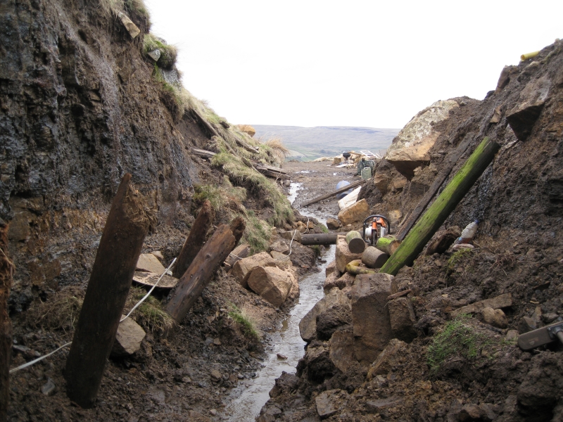 IMG_3186.jpg - More winter slumps.