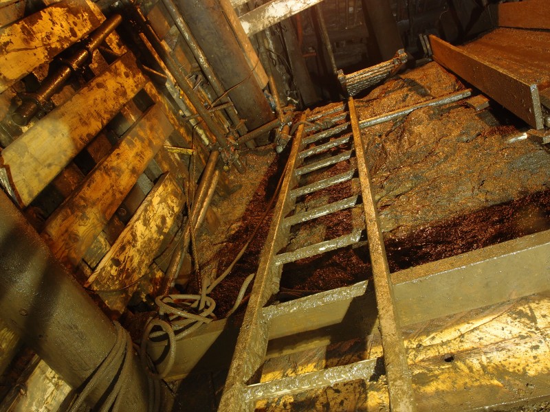 P7299932.JPG - Looking up the ladders from the ledge, it is a long way up now.