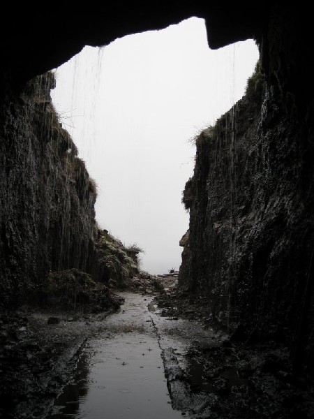 IMG_2375.jpg - At the entrance, out own Niagara Screen.