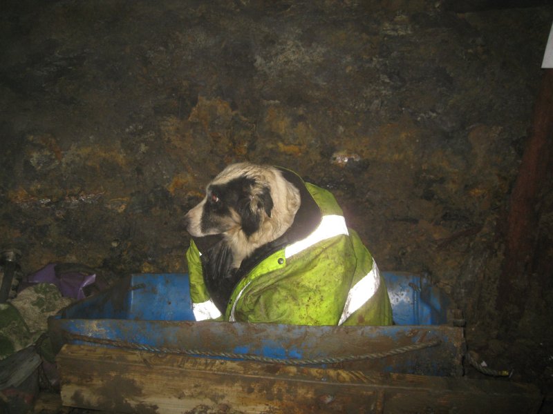 IMG_2383.jpg - "Er Pete, I think that last brace you put in, is about 10 degrees out"