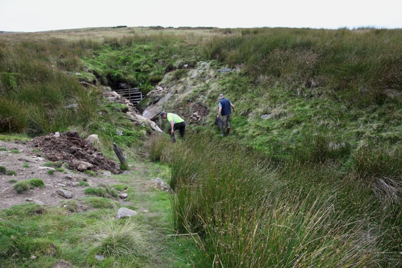 01_start.jpg - The Firestone Adit as it stood before the start of the dig. The reed bed follows the outline of the actual part of the entrance which has fallen in.