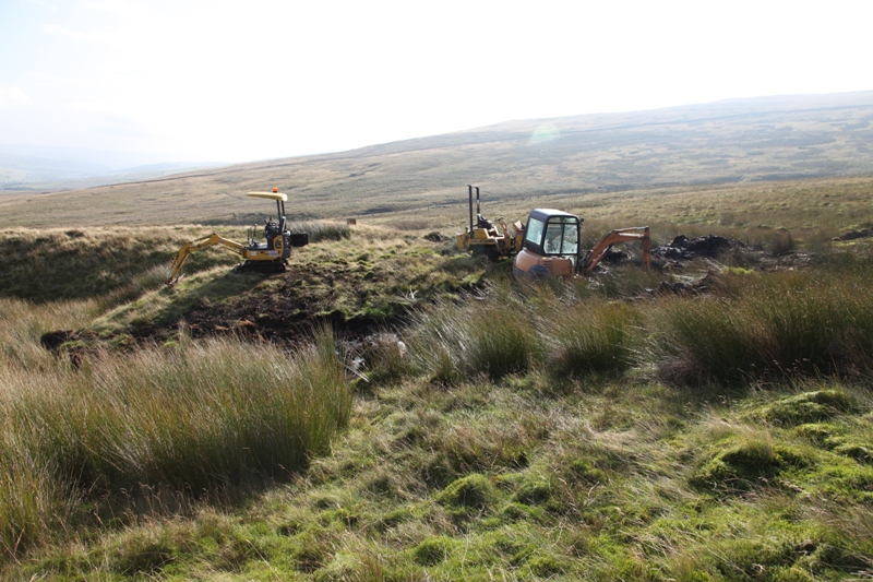 10_marchofdiggers.jpg - Look, a lesser spotted small colony of mini plant machinery.